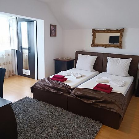 Family Pension Arad Bagian luar foto
