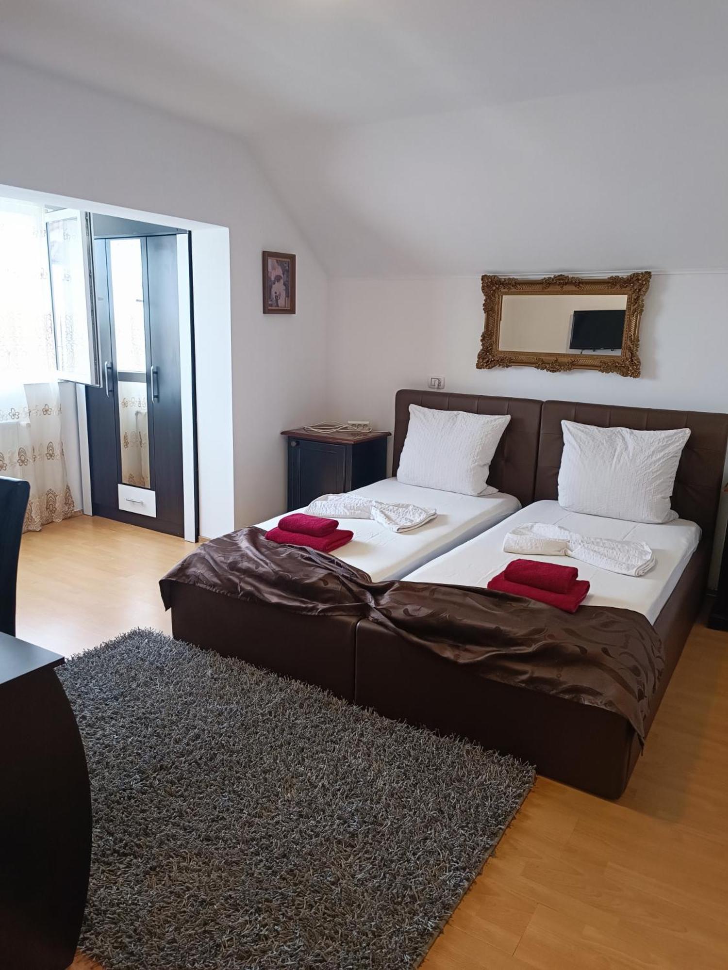 Family Pension Arad Bagian luar foto