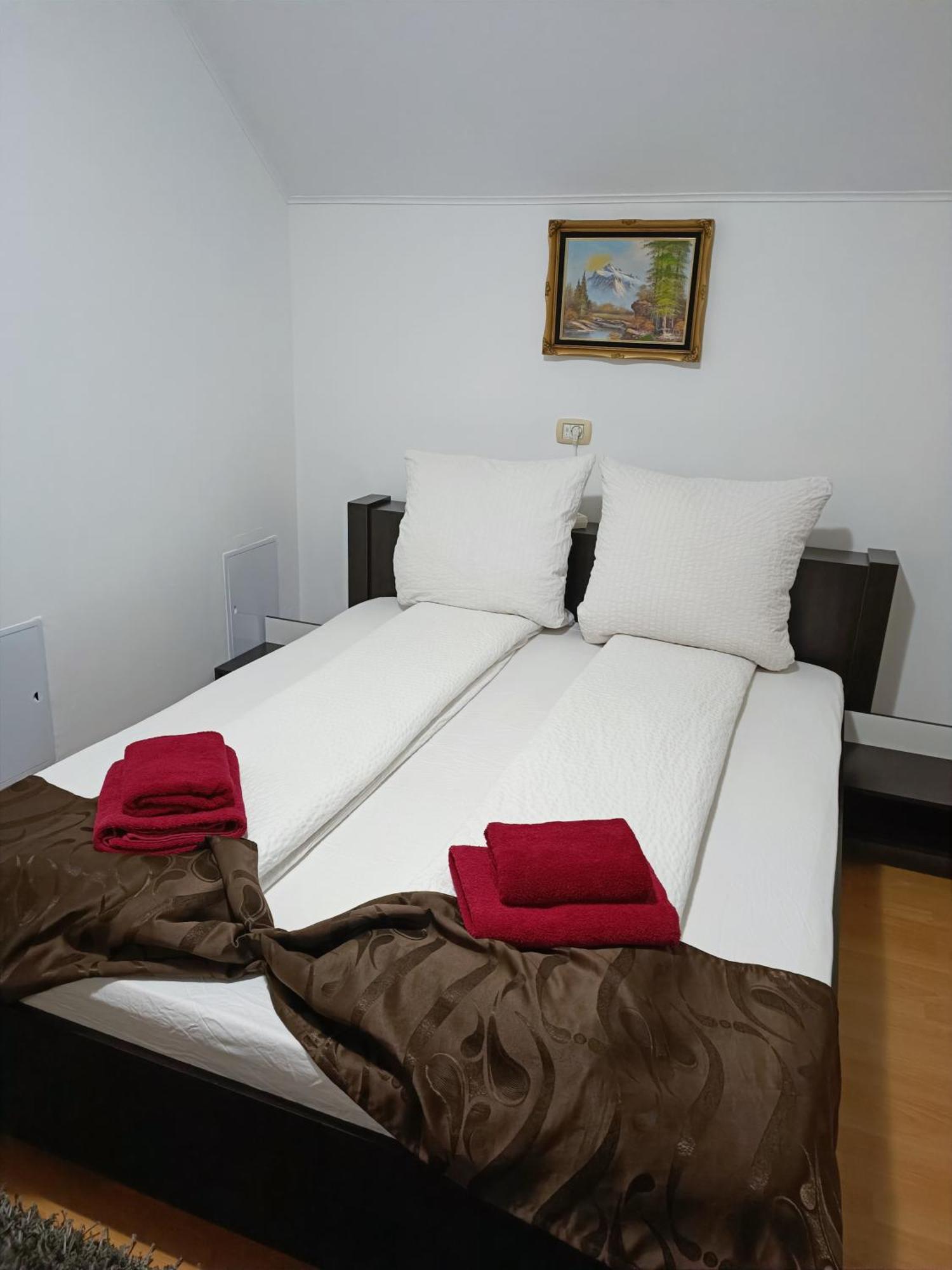 Family Pension Arad Bagian luar foto