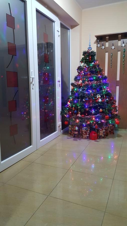 Family Pension Arad Bagian luar foto