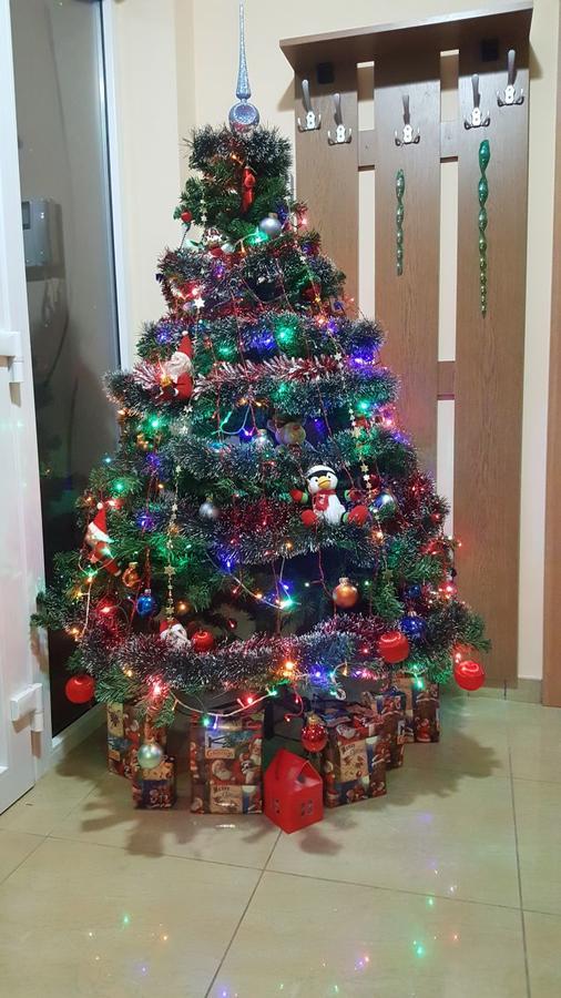 Family Pension Arad Bagian luar foto