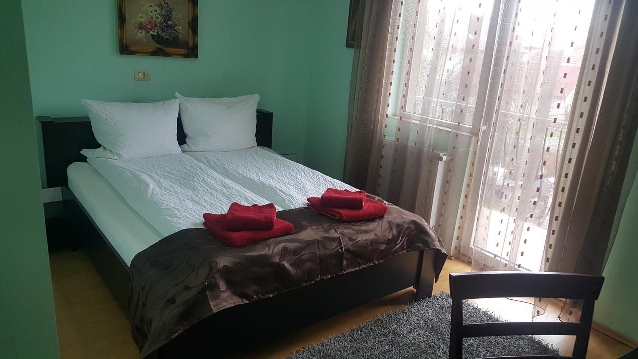Family Pension Arad Bagian luar foto